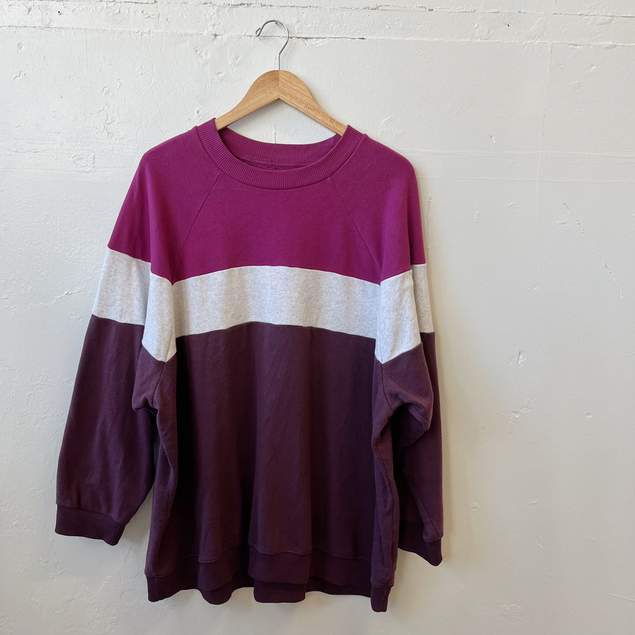 Size XL | AE Colorblock Crewneck