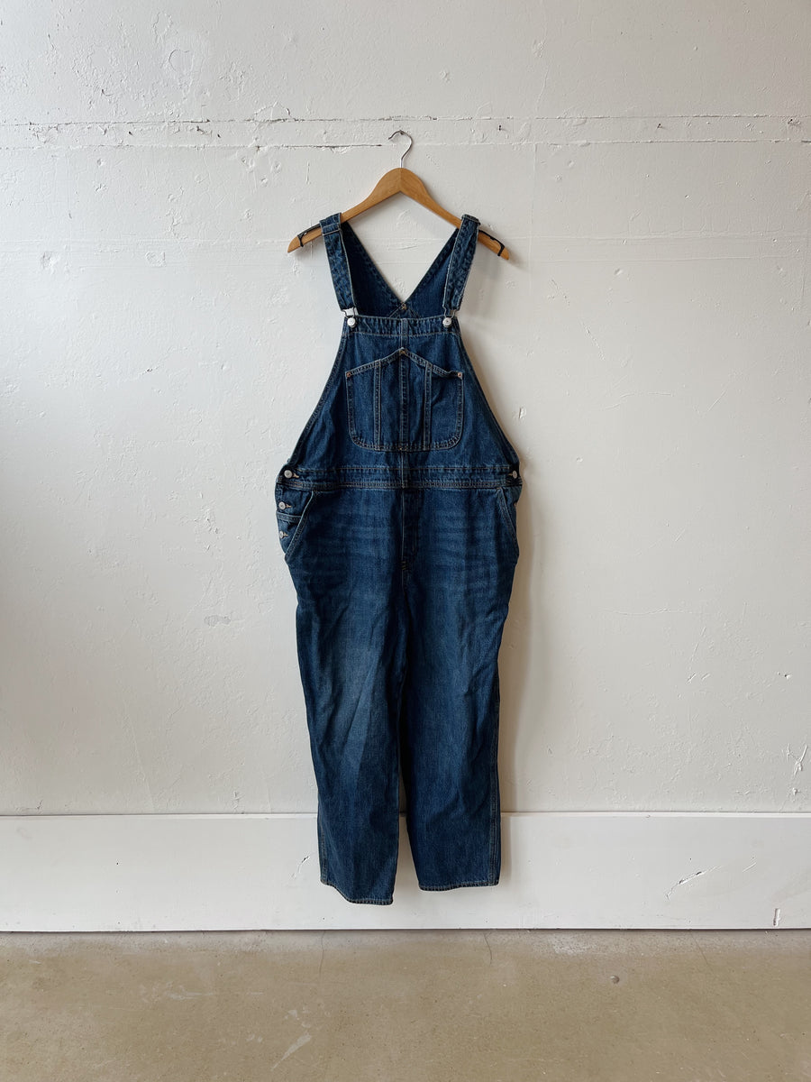 Size 20 Overalls