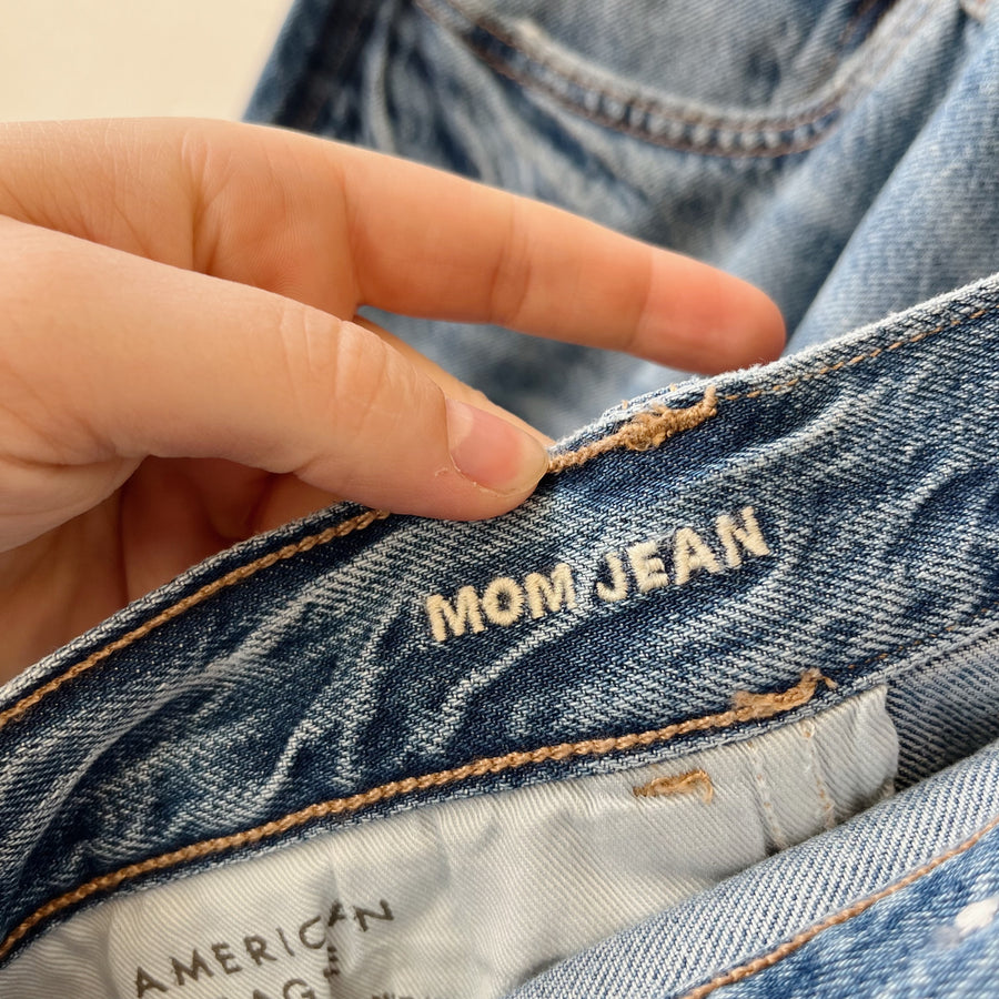 Size 20 | AE Mom Jean